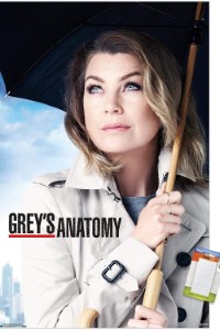 Download Grey’s Anatomy (Season 1-20) [S20E10 Added] {English With Subtitles} 720p Bluray [280MB] || 1080p [1GB]