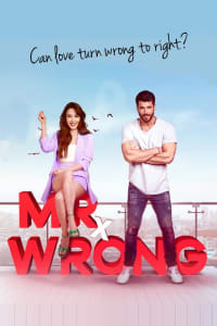 Download Mr. Wrong Season 1 [E20 Added] (Hindi Audio) Web-Dl 720p [280MB] || 1080p [800MB]