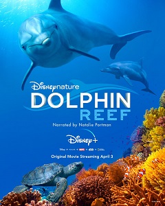 Download Dolphin Reef (2018) {English With Subtitles} 480p [300MB] || 720p [800MB] || 1080p [1.8GB]
