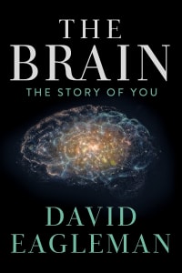 Download The Brain with David Eagleman (Season 1) {English With Subtitles} WeB-DL 720p [450MB] || 1080p [1GB]